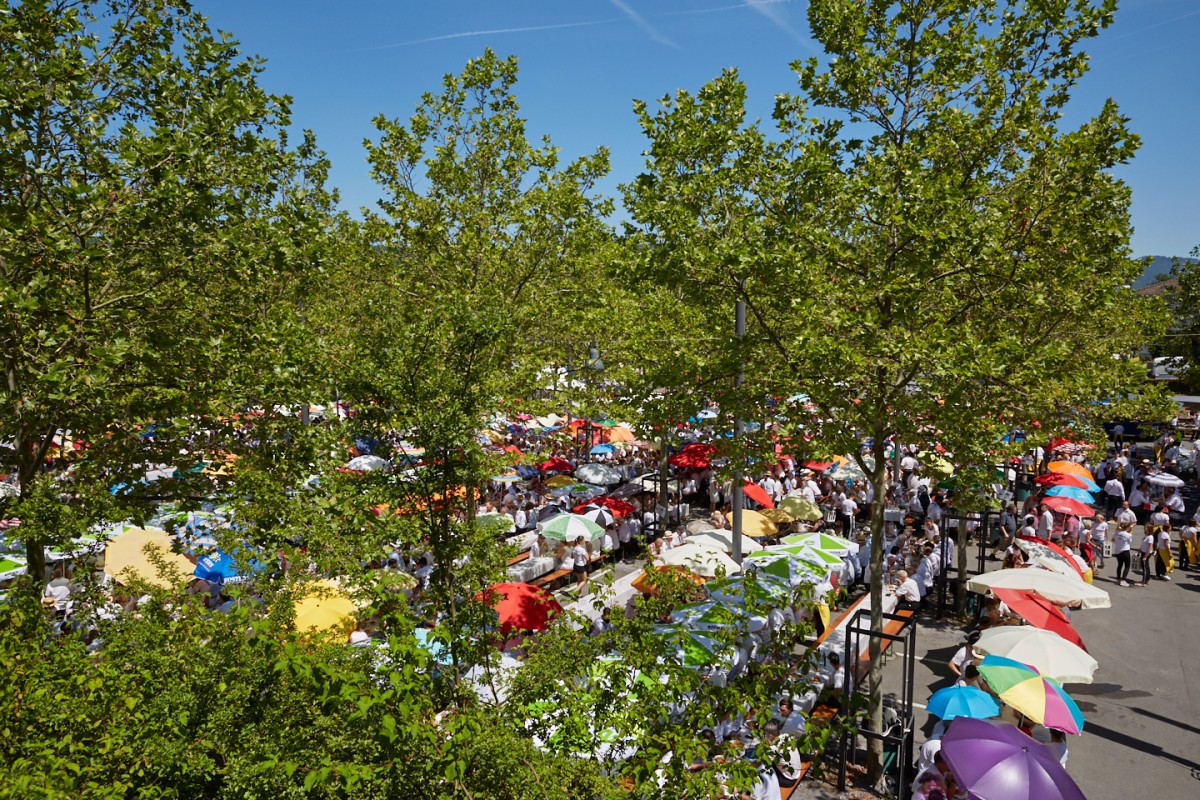 Sonnenschirme und Tische überdacht mit Bäumen