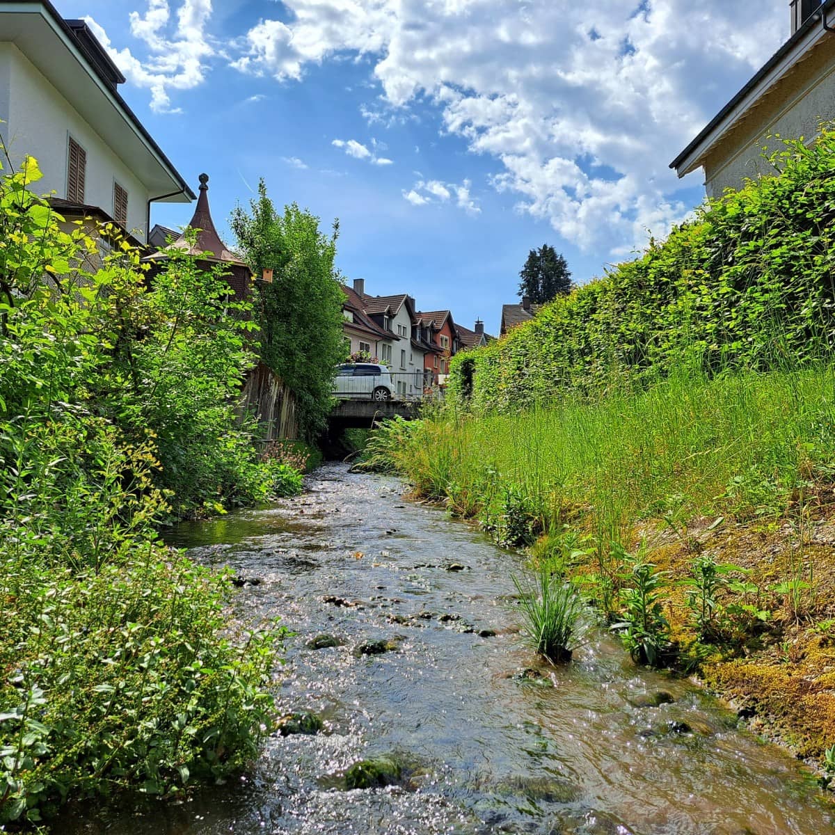 Bach im Siedlungsgebiet