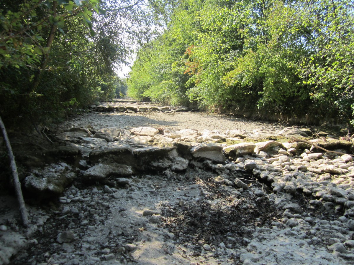 Trockenes Flussbett