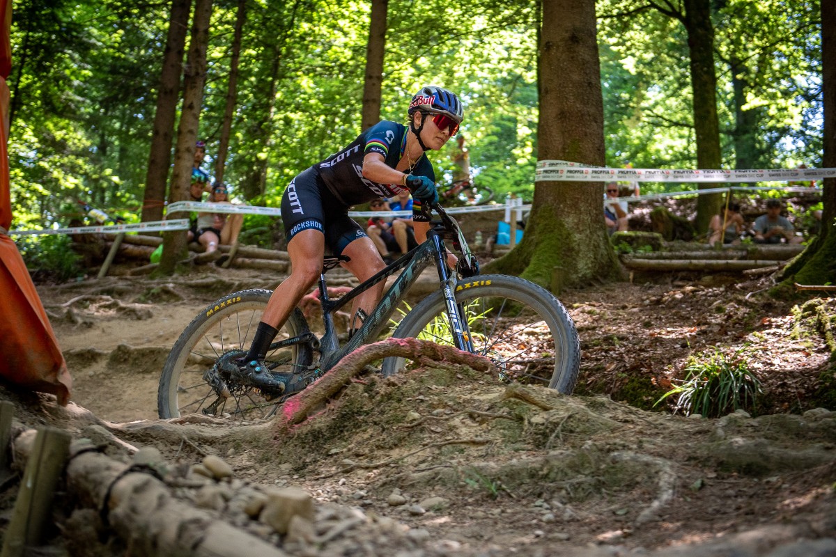 Bild Mountainbiker in Fahrt