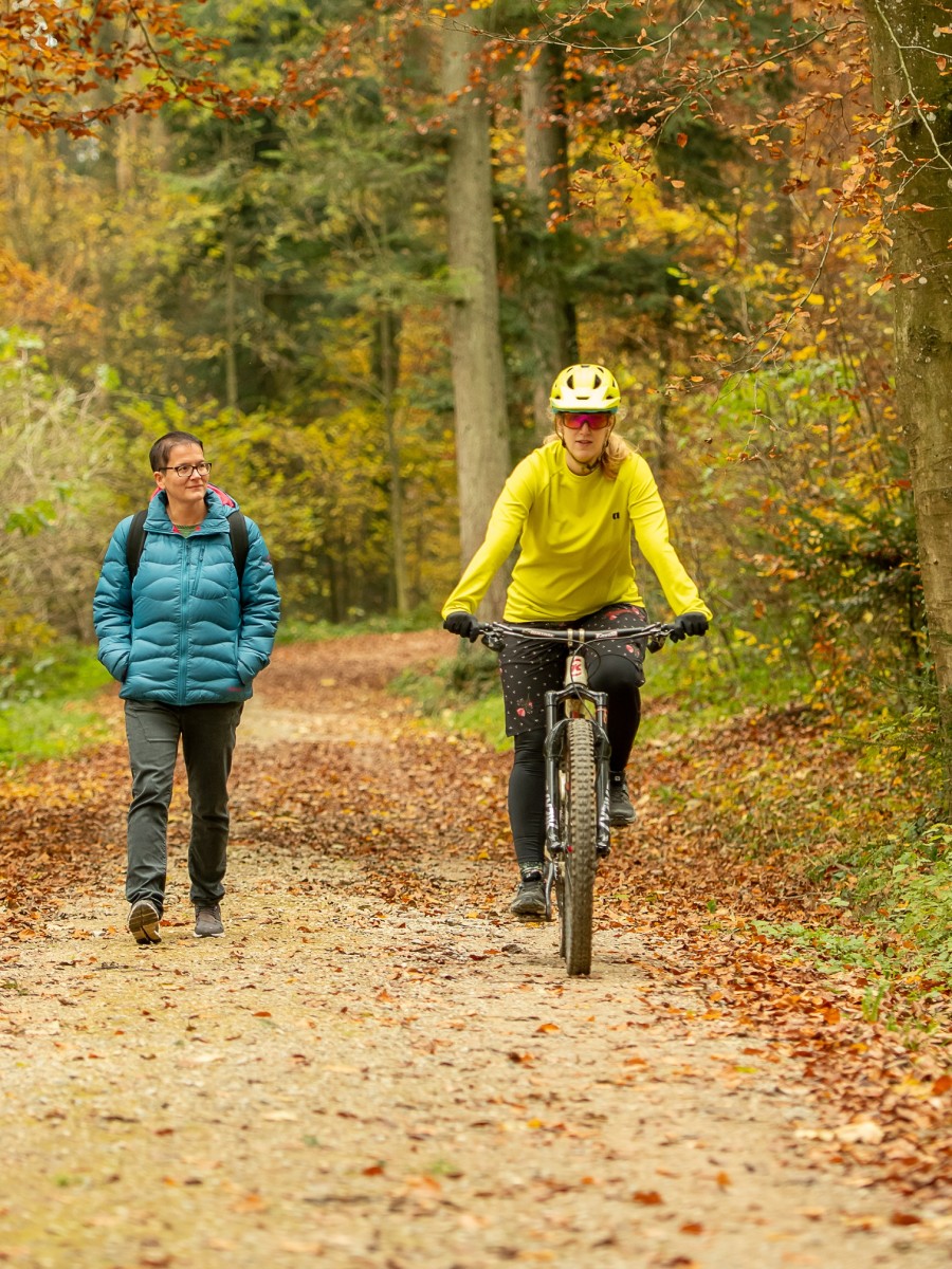 eine Person beim Velofahren im Wald