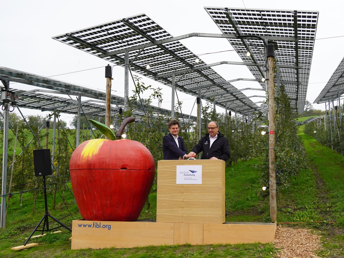 Knopfdruck zum Start der AgriSolar-Anlage am FiBL: Landwirtschaftsdirektor Dr. Markus Dieth und FiBL Geschäftsleitungsvorsitzender Jürn Sanders starten die Solarstromproduktion über der Apfelkultur am FiBL in Frick. 