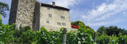 Aussenaufnahme Schloss Habsburg