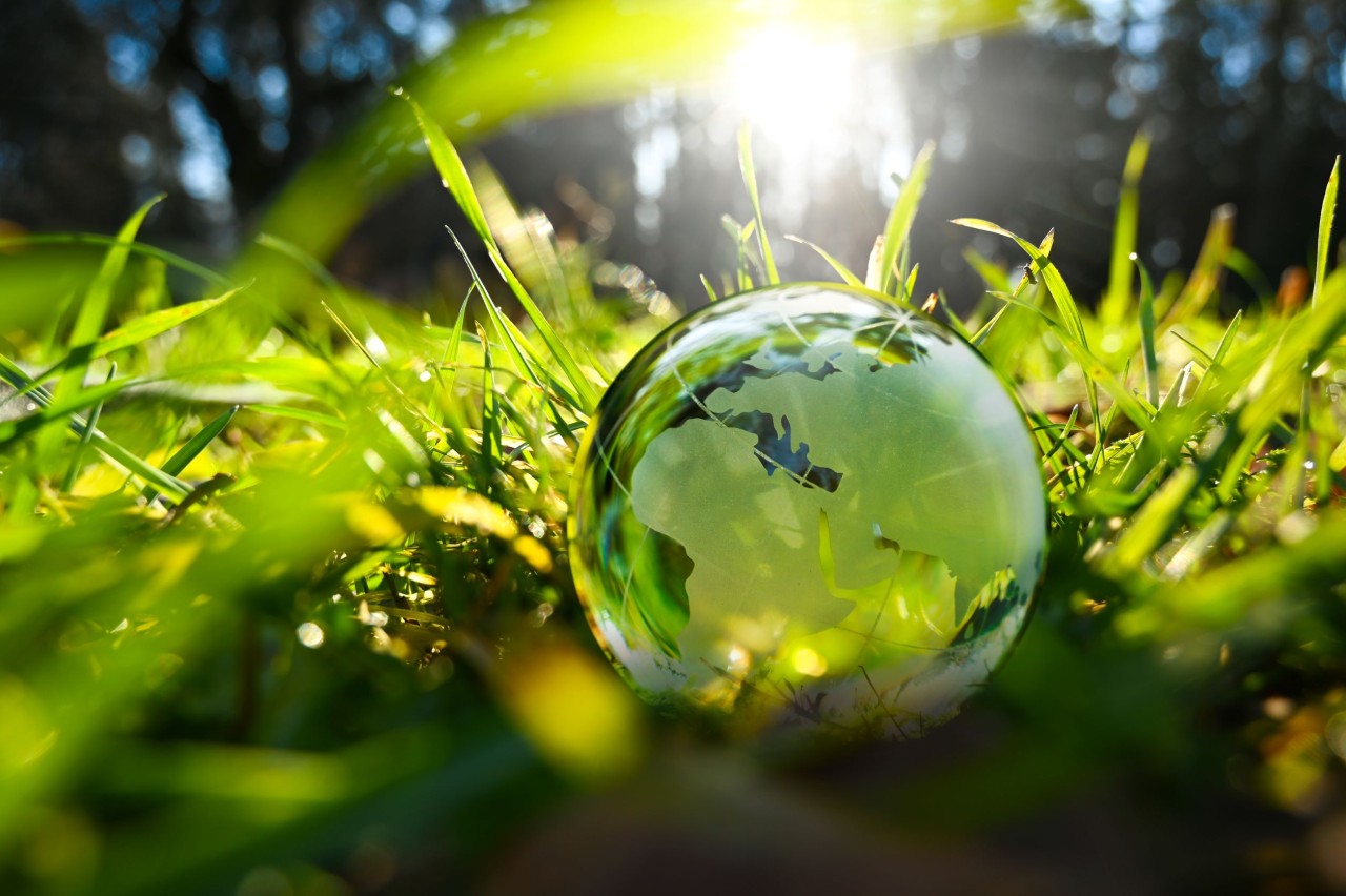 Weltkugel aus Glas in Gras
