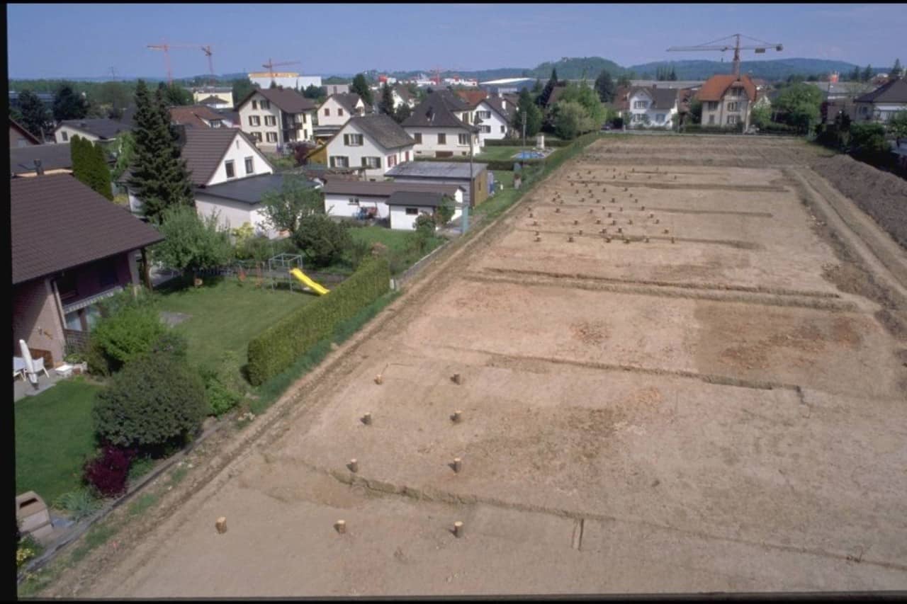 Blick über eine grosse freigelegte Grabungsfläche.