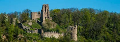 Die Burgruine Schenkenberg inmitten von Wald.