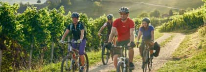 Eine Fahrradgruppe ist bei schönem Wetter zwischen Rebenfeldern unterwegs.