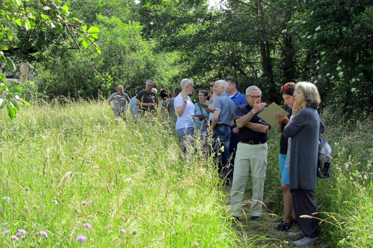Teilnehmende des Workshops, die beim Begehen der Rössliwiese, über deren Zukunft diskutieren.