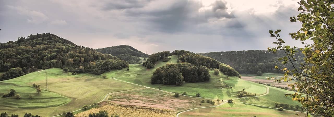 Blick auf einen bewaldeten Jura-Hügelzug, im vordergrund sind Felder, Wiesen, Rebstöcke und Wege zu sehen.