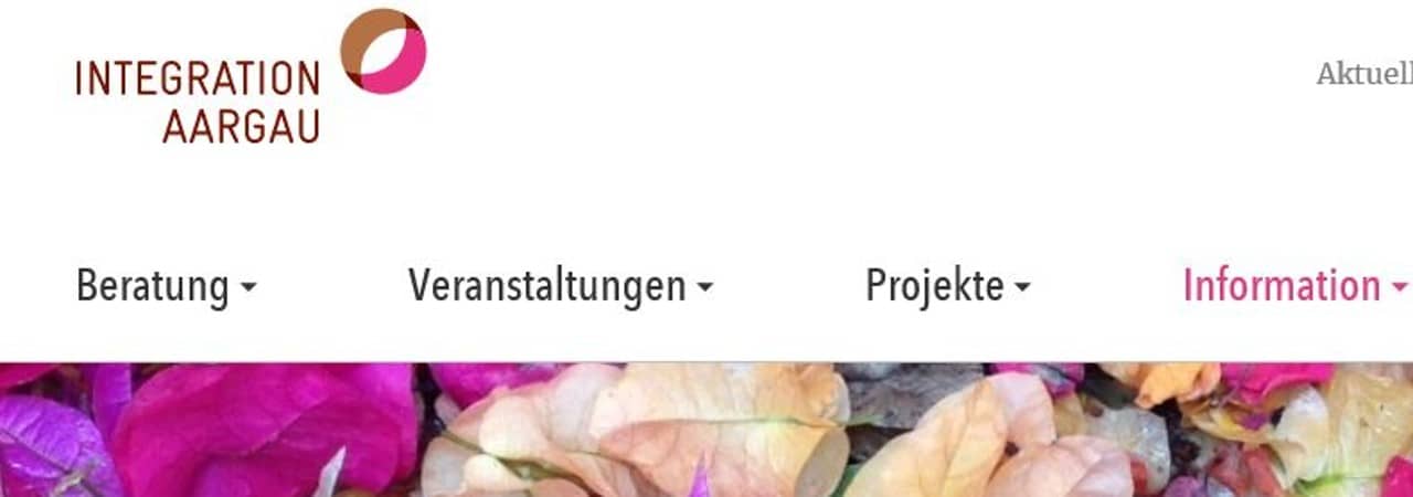 Screenshot Integrationsplattform