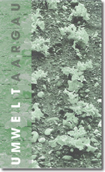 August 2004